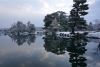 DSC00266 DSC00266