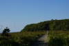 DSC00346 DSC00346