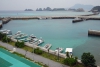 DSC00496 DSC00496