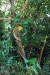 DSC03690 DSC03690