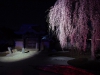 IMG_0864 IMG_0864