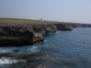 IMG_2344 IMG_2344