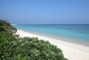 IMG_2878 IMG_2878