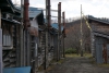 hokkaidu1411 (74) hokkaidu1411 (74)