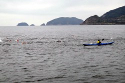 島から島へ泳ぎ渡る様子