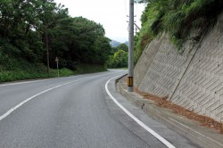 照山展望台への道
