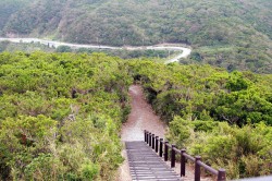 照山展望台への道
