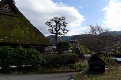 美山かやぶきの里
