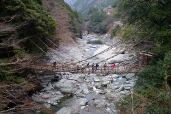 祖谷のかずら橋