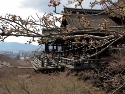 清水寺