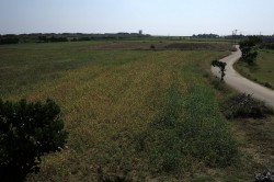 コート盛からの眺め