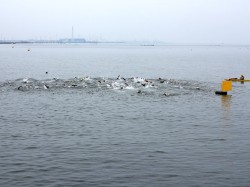 白浜アクアスロンスイム