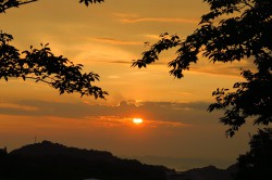 ホテルからの眺め