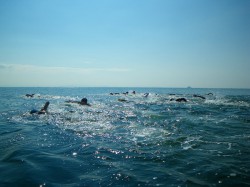 白浜アクアスロンスイム