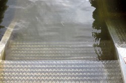 スイム会場池の水質