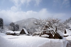 五箇山合掌集落