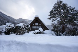 白川郷　荻町集落
