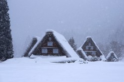 白川郷かん町付近