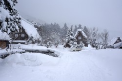 白川郷荻町集落
