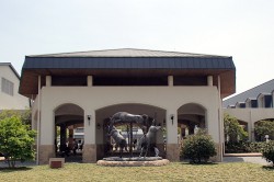 三木ホースランドパーク