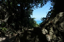 斎場御嶽(せーふぁーうたき)