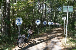 岳公園サイクリングロード