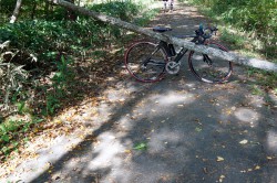八ヶ岳サイクリングロード