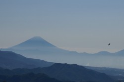 八ヶ岳牧場からの富士山