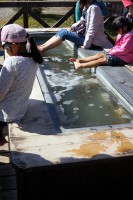 清泉寮の足湯