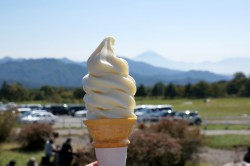 清泉寮のソフトクリーム