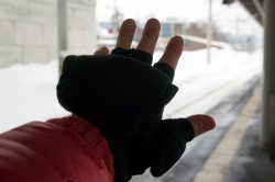 MATIN 撮影用品 マルチシューティンググラブ