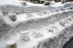 小樽雪あかりの路