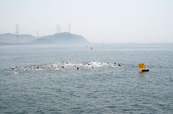 白浜アクアスロン