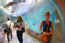 須磨水族園にて