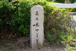 菜の花ロードの石碑