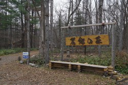 富良野麓郷の森