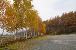 北の国からロケ地