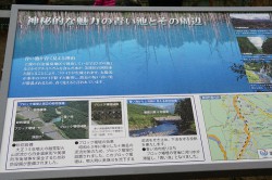 美瑛白金「青い池」