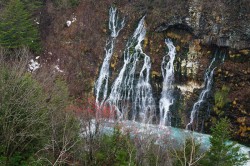 美瑛白金「白ひげの滝」