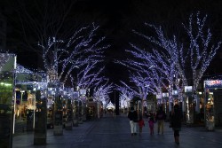 静岡ライトアップ