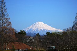 駿府城公園から見る富士山
