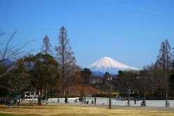 駿府城公園から見る富士山