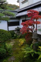 矢掛本陣「石井家」