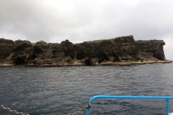 与那国島スノーケルツアー