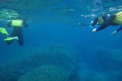 与那国島スノーケルツアー