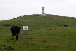 与那国島　東崎