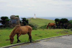 与那国島　東崎