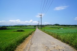 小浜島　シュガーロード
