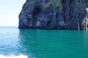 知床観光クルーズ