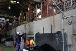 ニッカ余市蒸溜所